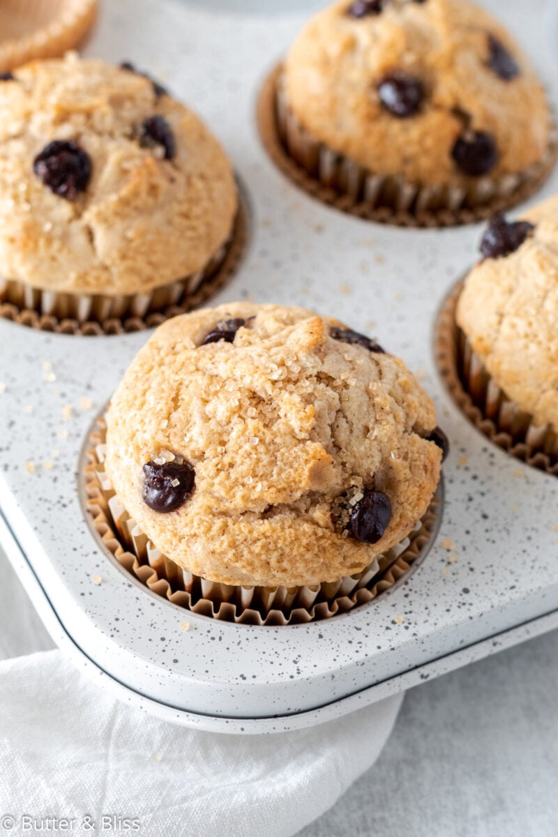 Single bakery style chocolate chip muffin