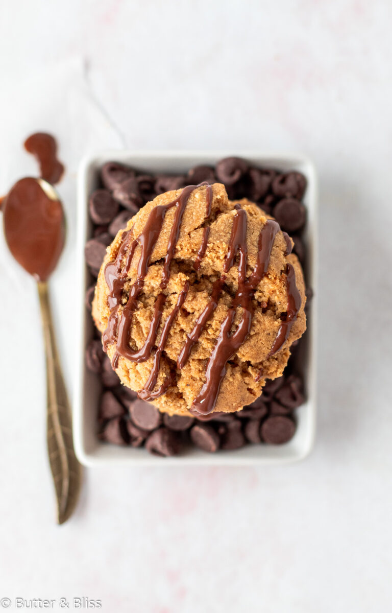 Single peanut butter cookie with chocolate drizzle