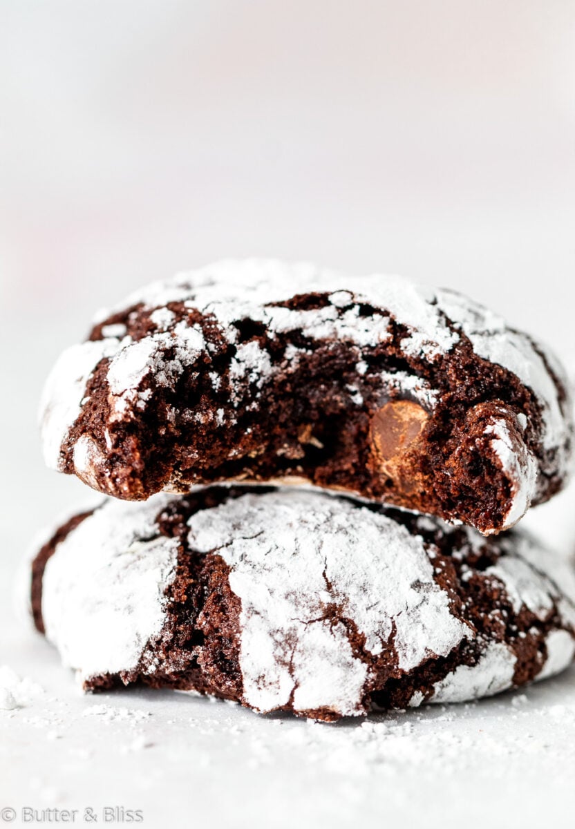 A chocolate Christmas cookie with a bite stacked on top of another cookie.