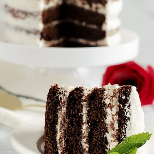 Chocolate cake slice with four layers