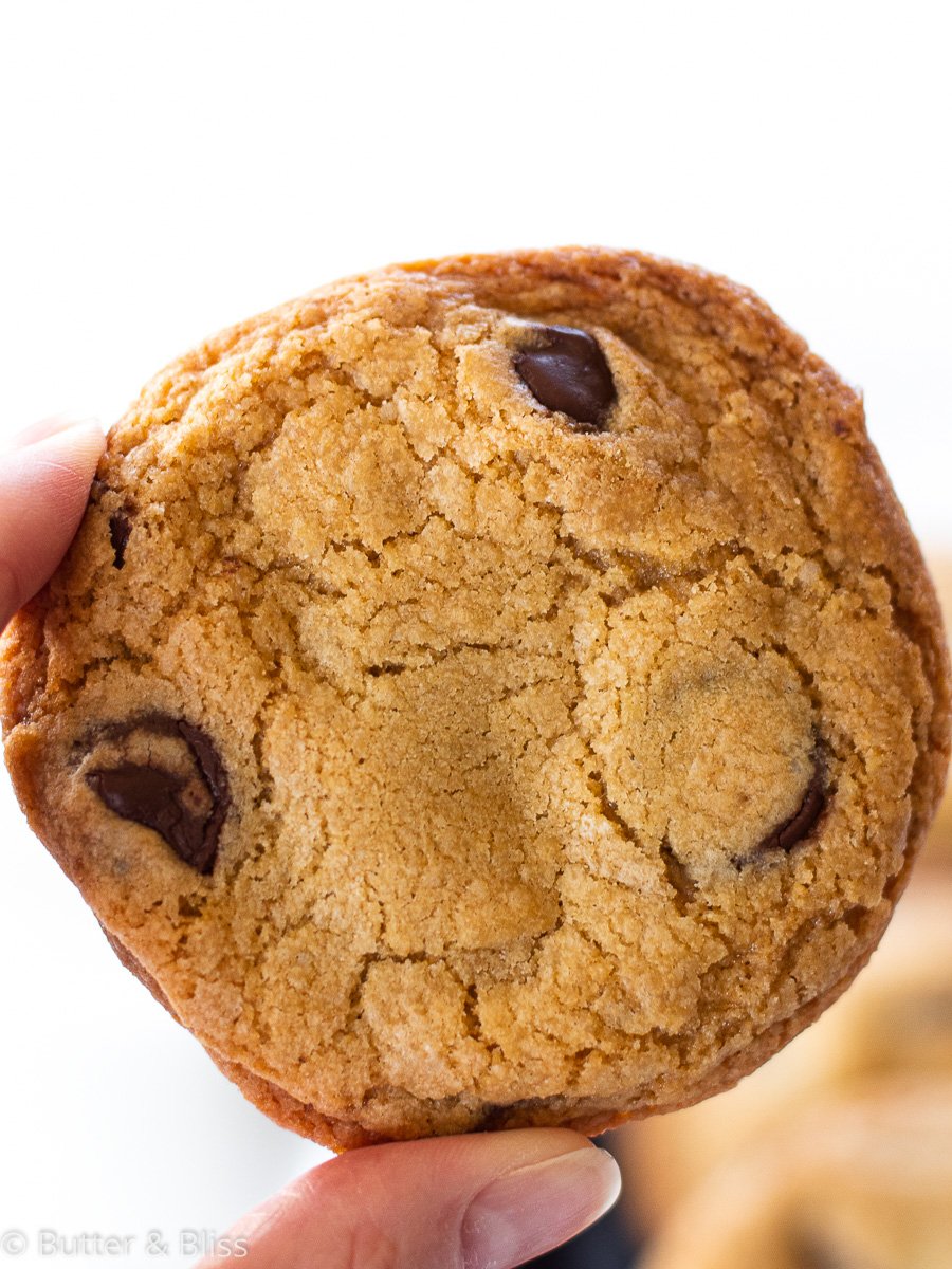 Single chocolate chip cookie being held up