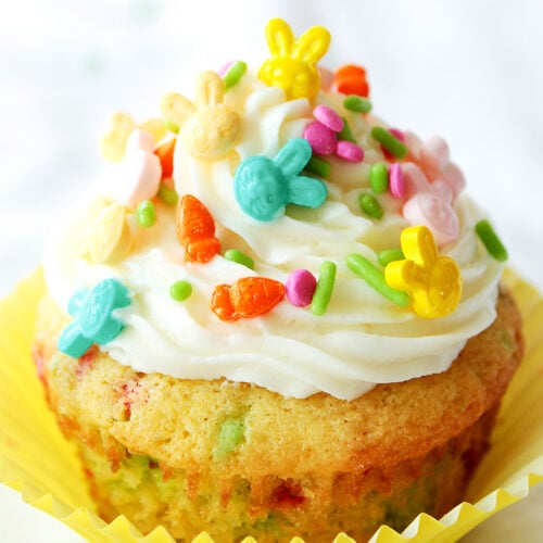 Single funfetti cupcake with sprinkles