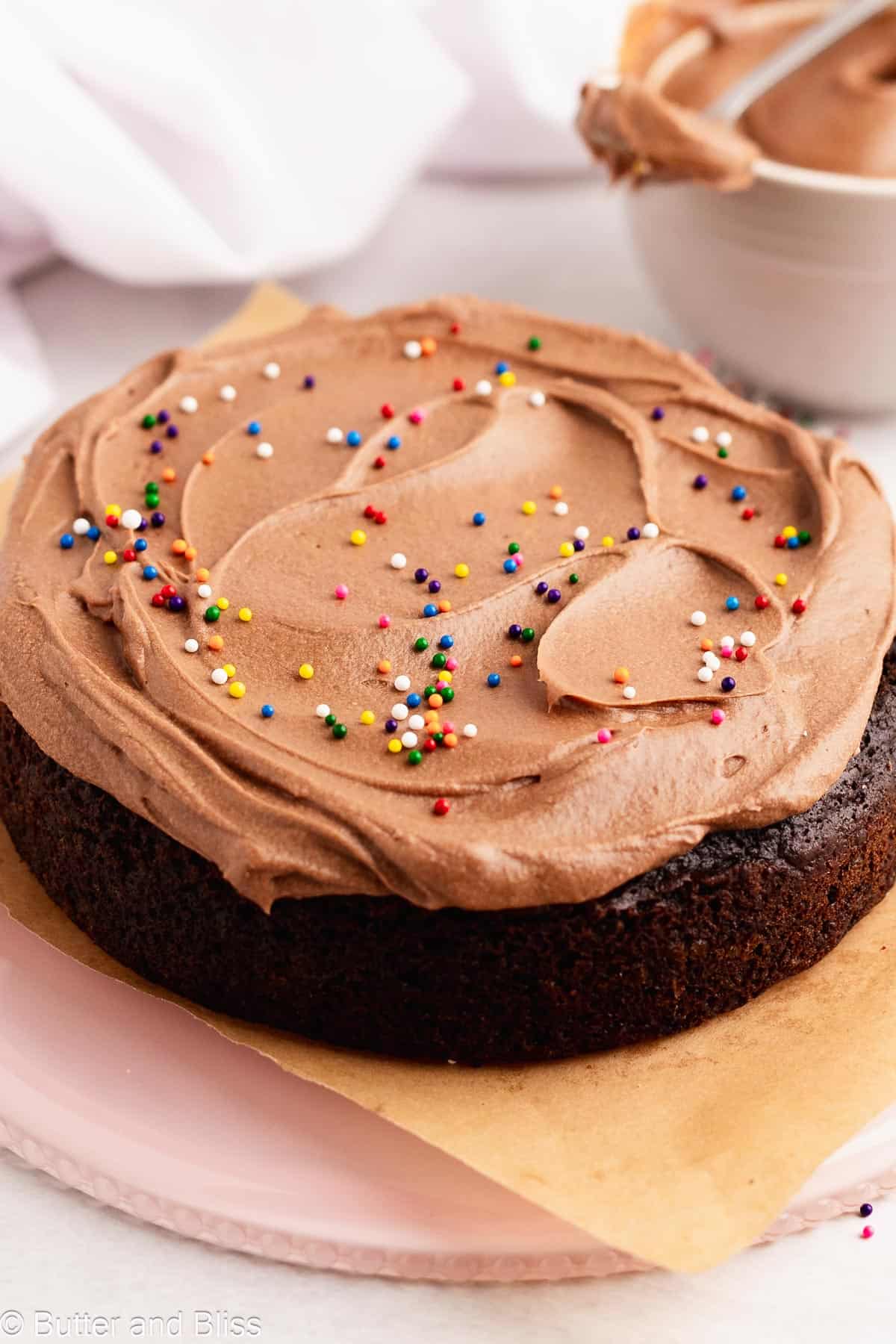 Small chocolate cake frosted with butter free chocolate frosting.