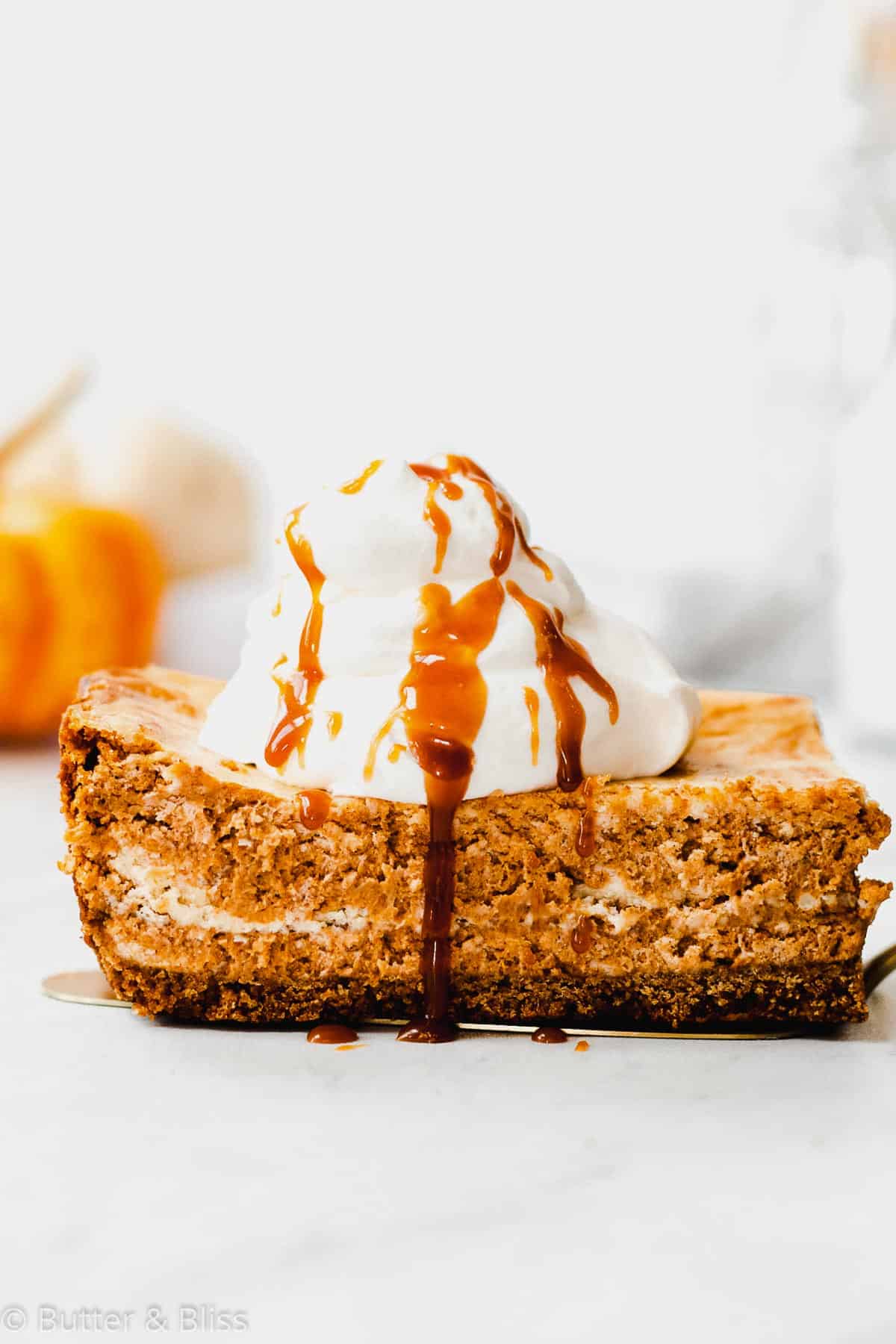 Slice of pumpkin swirl cheesecake topped with whipped cream
