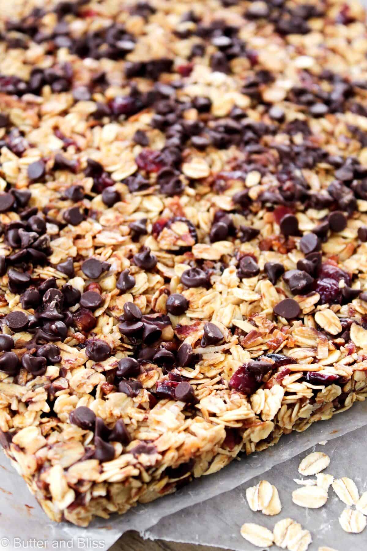 Pre-cut granola bar with chocolate chips and cranberries