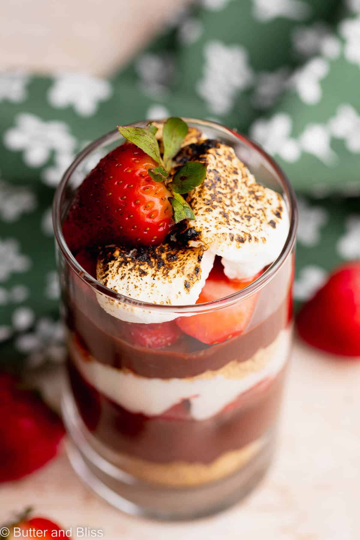 Top view of strawberry smores parfait with toasted marshmallows