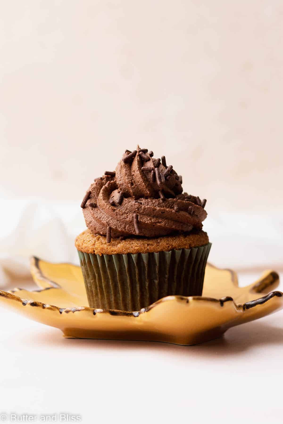 A single gluten free pumpkin cupcake with chocolate frosting on a fall plate.