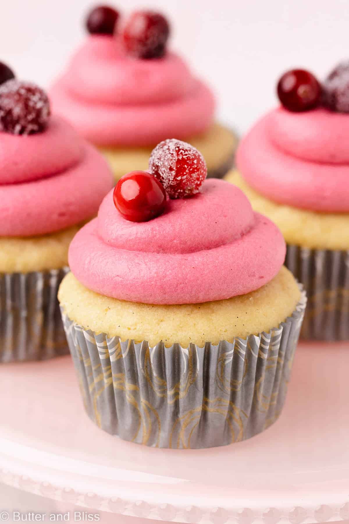 Pretty vanilla cupcakes frosted with holiday berry frosting.
