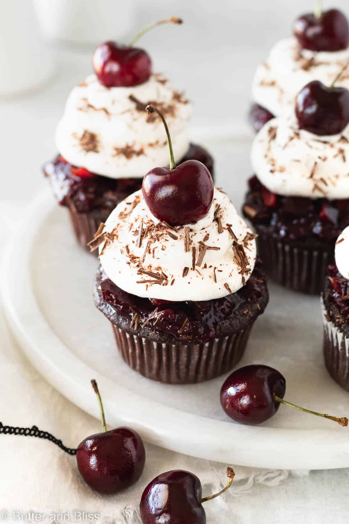 A pretty tray of black forest cupcakes topped with a fresh cherry.