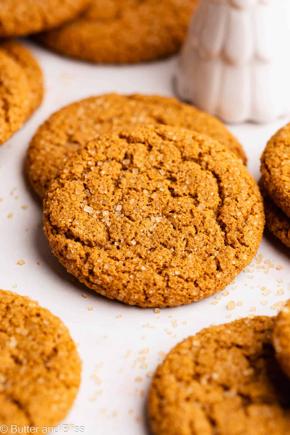 A snappy gingersnap cookie close up with sugar sprinkles.