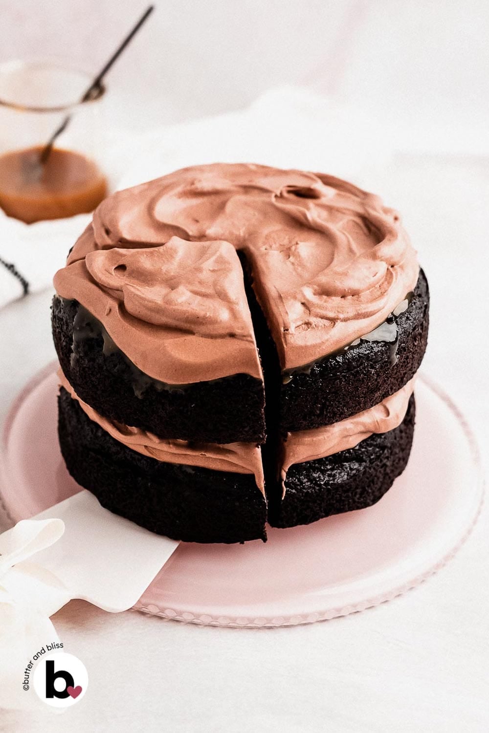 Small double chocolate layer cake on a pink cake platter.