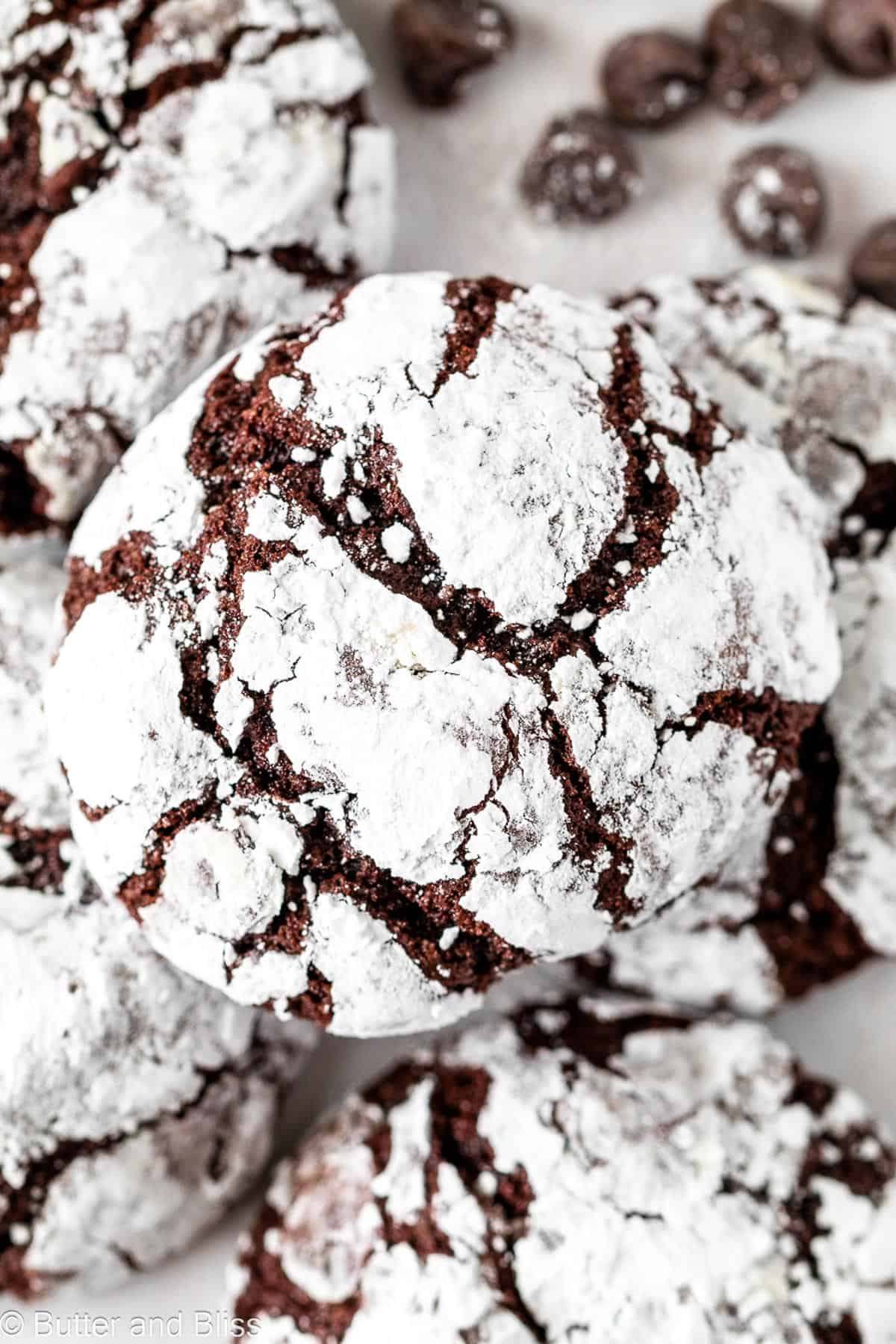 Close up of a pretty chocolate crinkle cookie.