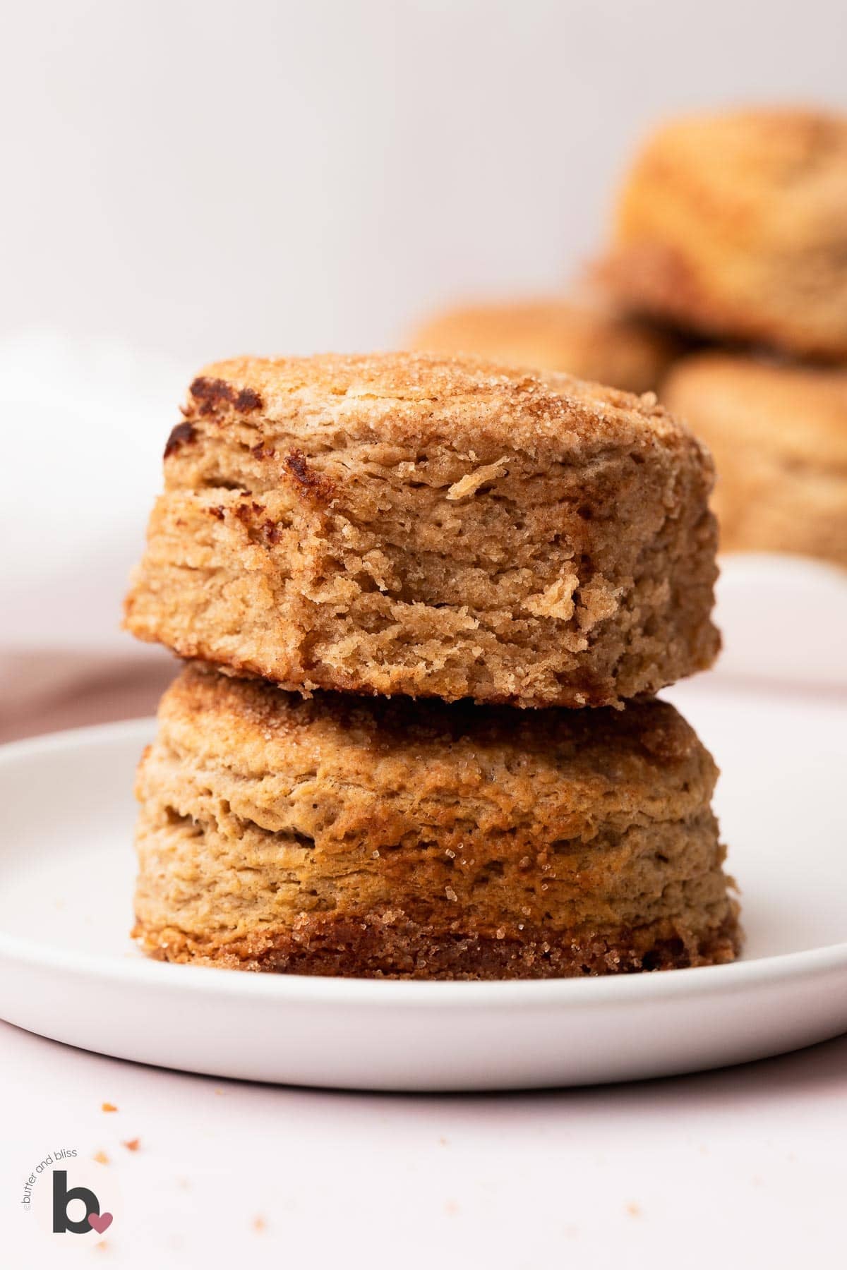Two cinnamon sugar biscuits stacked on a white plate.
