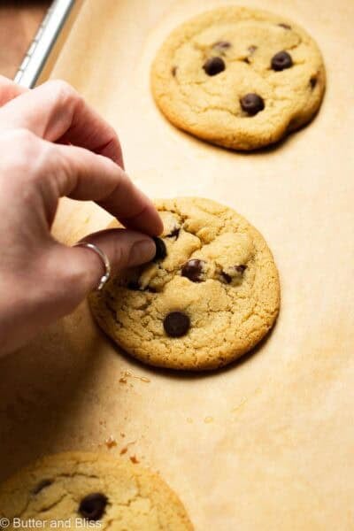 Hand adding extra chocolate chips on top of warm from the oven chocolate chip cookies.