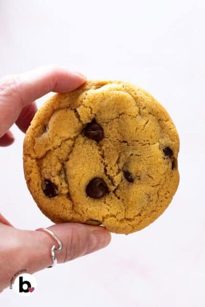 Hand holding a single chocolate chip cookie.