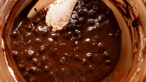 Chocolate chips added to flourless chocolate cookie batter.