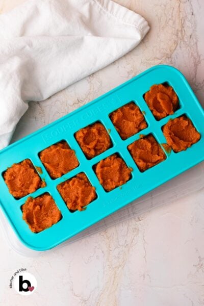 Leftover pumpkin puree portioned into ice cube tray to be frozen.